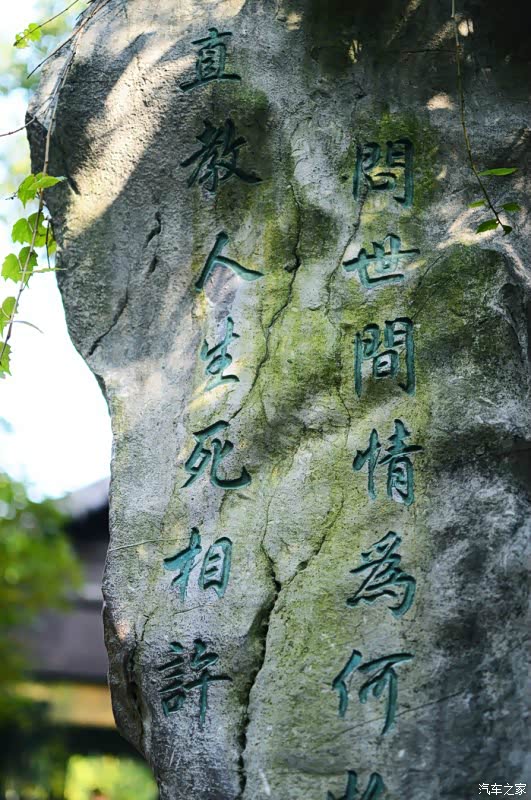 问世间情为何物,直教人生死相许