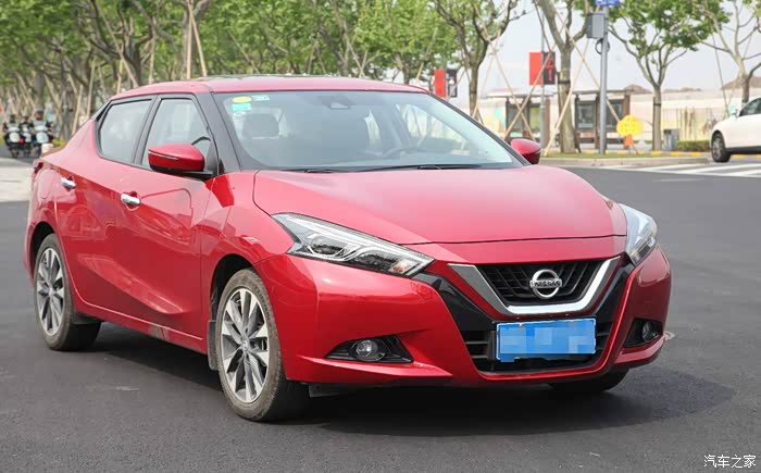 我的大蓝鸟,停不下对你的爱