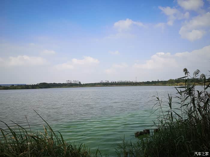 欣赏宛山荡湿地公园的美景