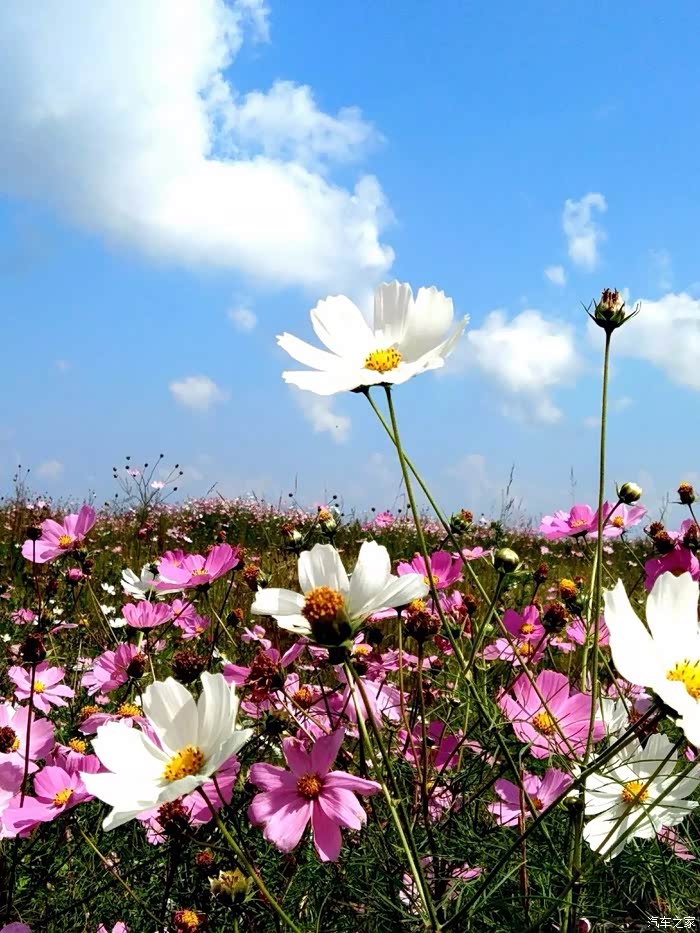 置身世外,精美绝伦---抚仙湖游记