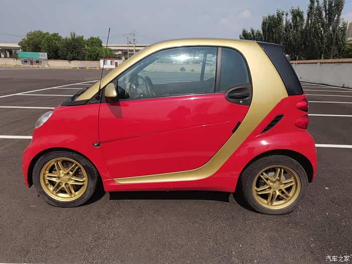 老骥伏枥,12款龙年限量特别版smart车主前来报道