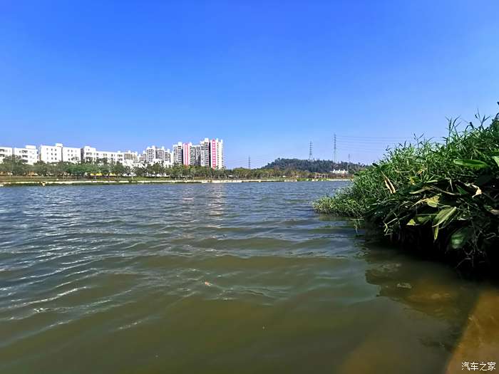 深圳燕罗湿地公园图片