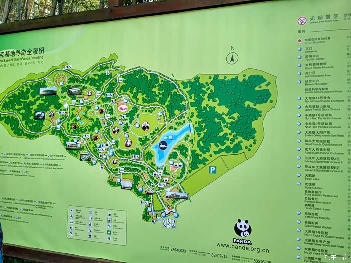 逛成都5熊猫基地