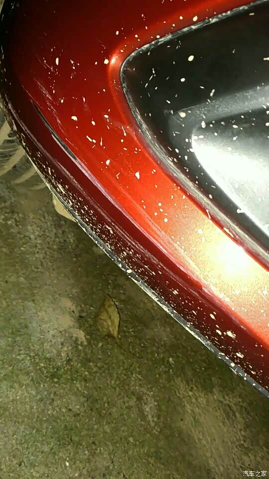 今天采到狗屎了晚上停车时一血