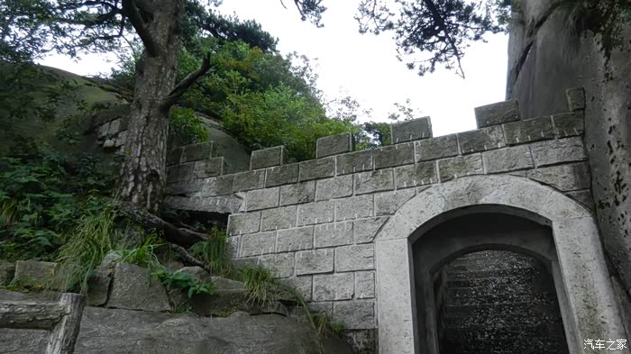 雨燕再游天柱山