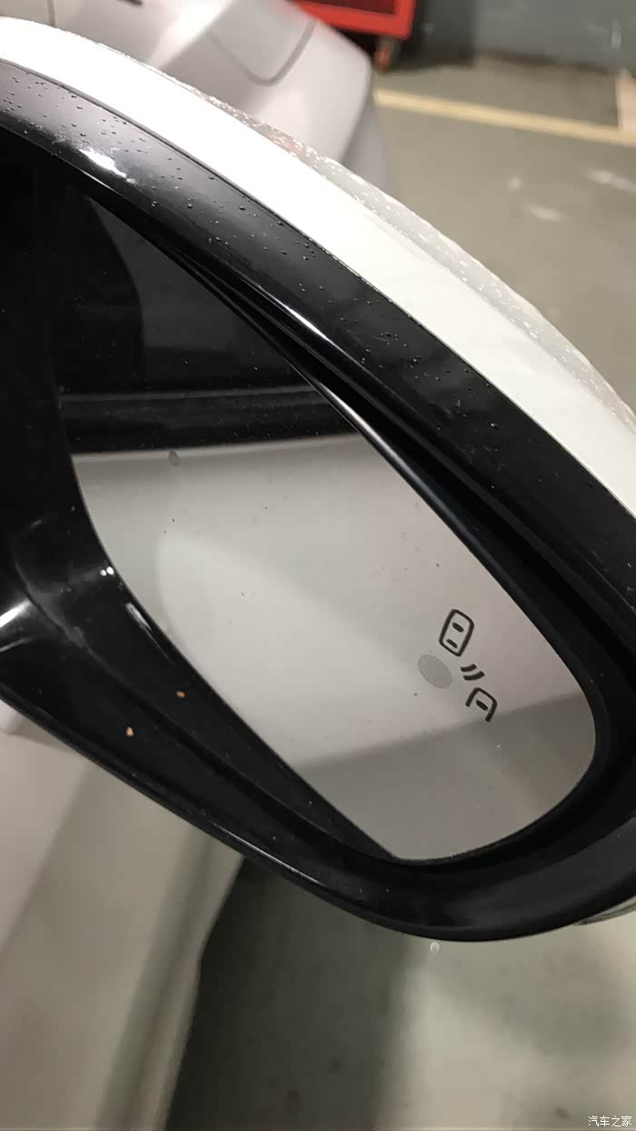 更换后视镜总成!黑耳朵!