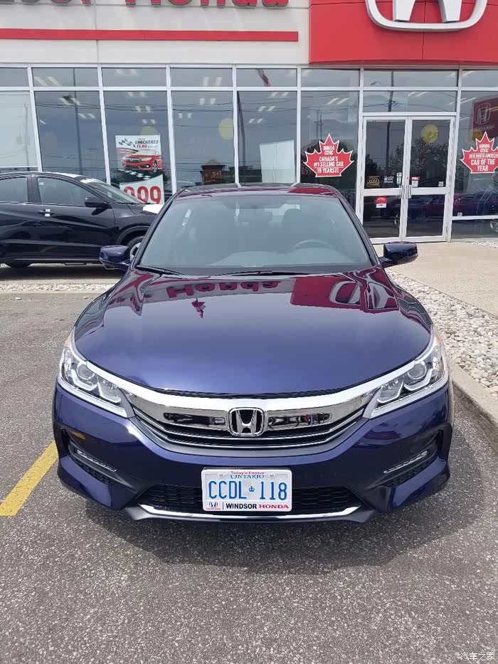 北美提骚蓝雅阁accordsport作业