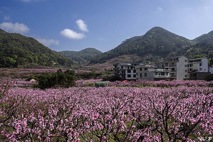 福建遊10寧德福安穆陽桃花節觀賞