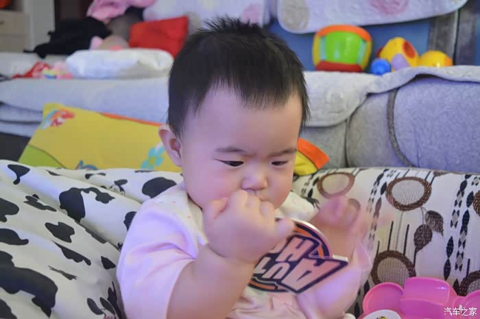 【家】有一宝 天荒地老——新春奖品jbl携小刚子初露