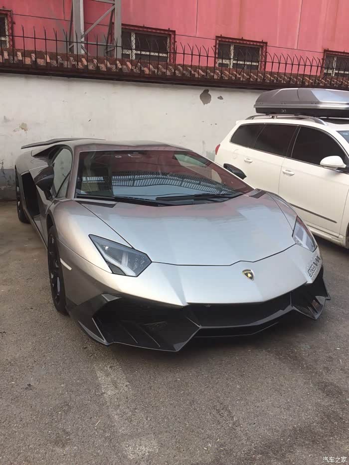 门前的大牛 好气派