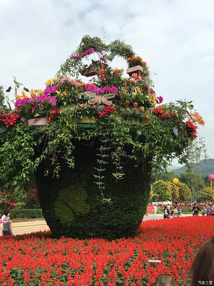 福建漳州花博会一日游幸福像花