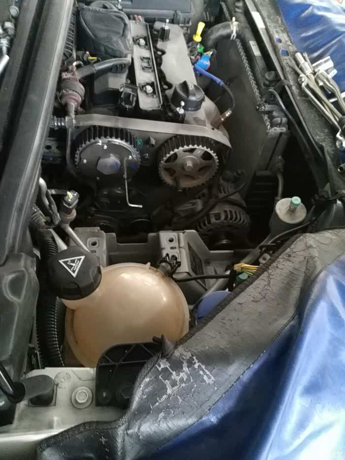 【图】更换水泵!_雪铁龙c4l论坛_汽车之家论坛