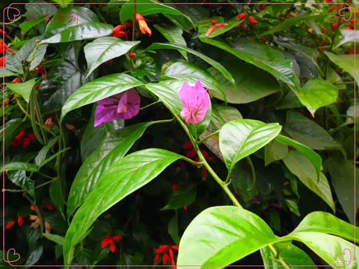 国庆七天乐若木苦并快乐着的国庆暴走记