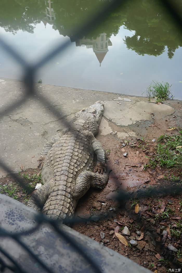 佛山三水森林公园半日游