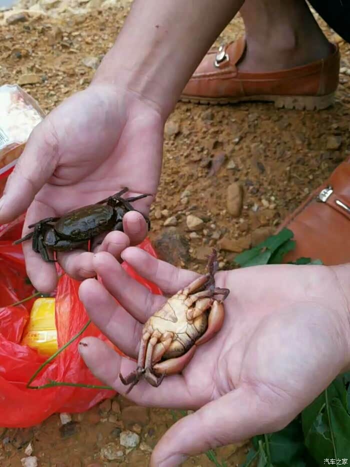 游韶关翁源翁城泉坑村瑶老石生态农庄