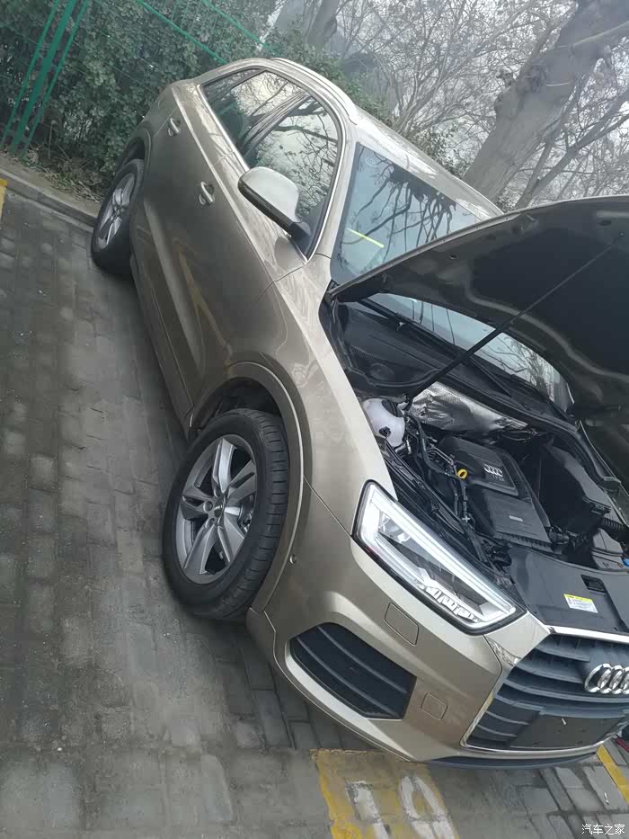【图】顶了q3流沙金,没见过实车 在线求看实车图片_奥迪q3论坛_汽车之