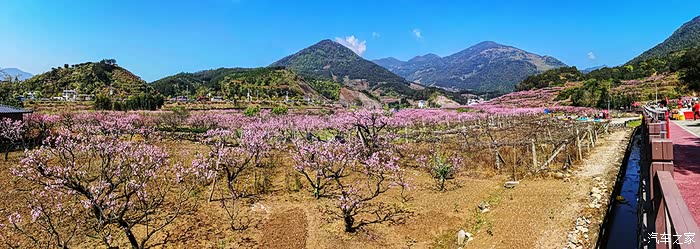福建游10宁德福安穆阳桃花节观赏
