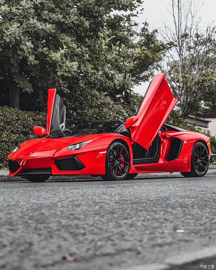 喜庆的兰博基尼aventador