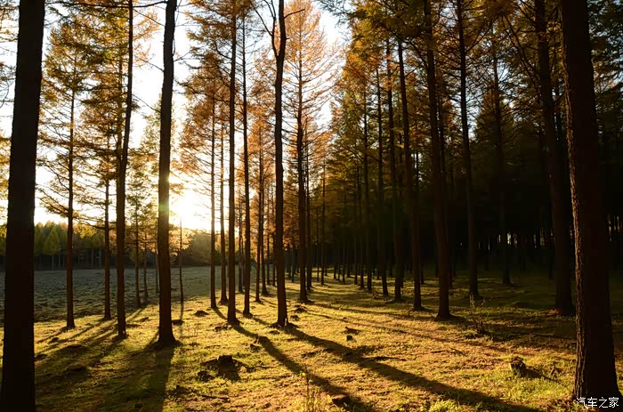 二屌欢乐坝上游照相水平差请海涵