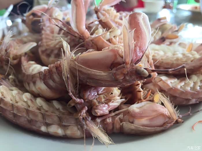 跟着小三去旅行,出发东山岛!美食一波接一波