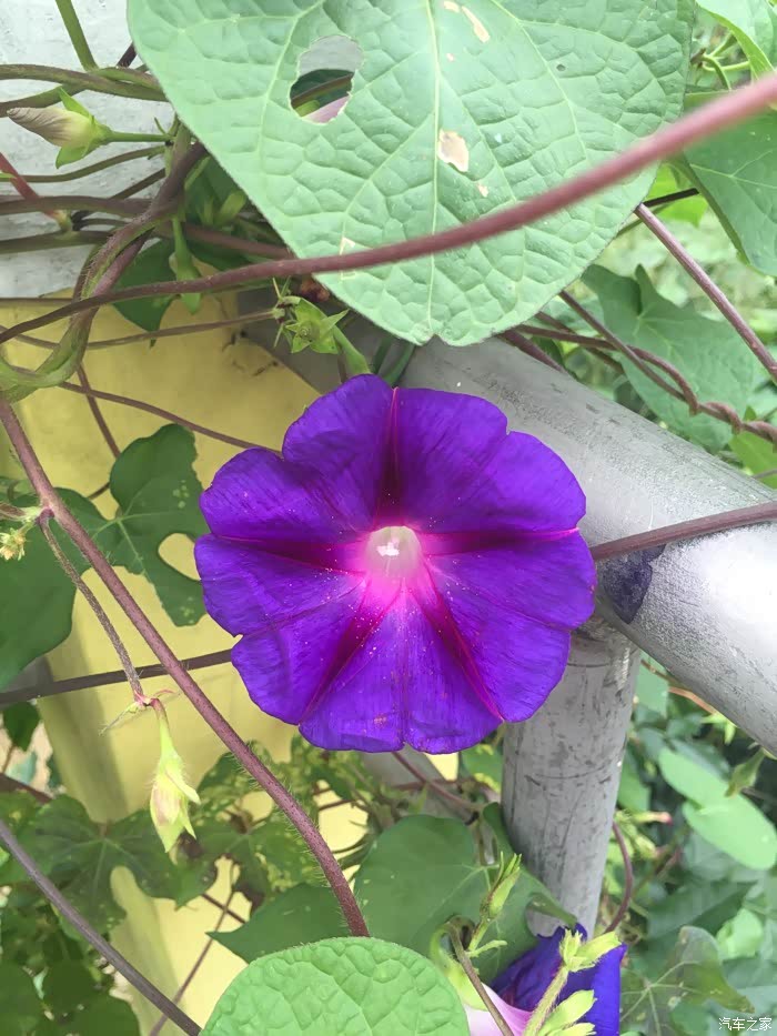 避开国庆小长假,亲近大自然