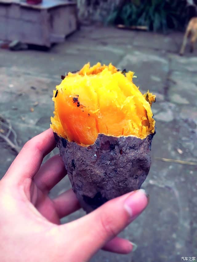 谢谢昂友们的关心,已经安全到家!