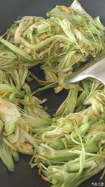 【迎暖春送积分】欣赏野百合如同欣赏美女有治愈感