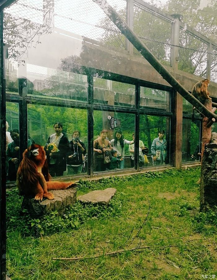 重庆动物园咖啡图片