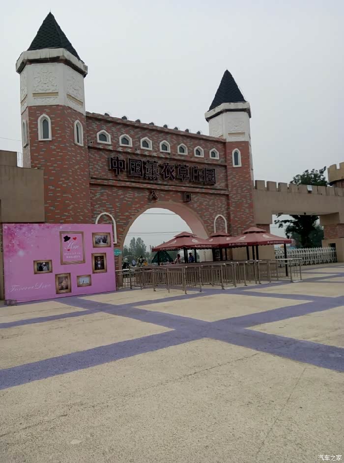 洛阳薰衣草庄园夜间游