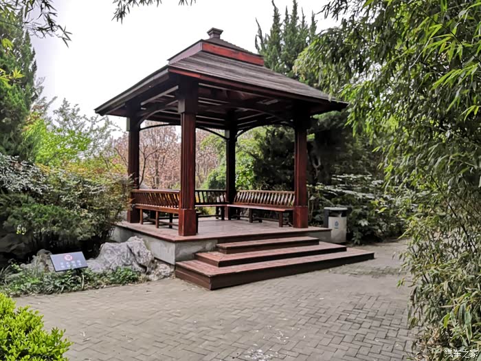 茂密的树林里有一座供人休息的亭子