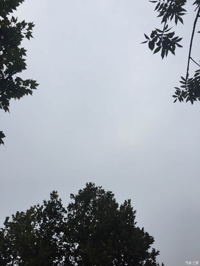 大家伙早上好,又是阴天