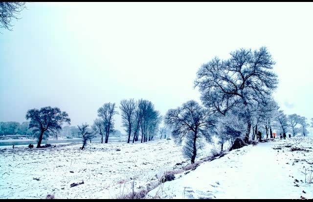 东北的雪大而厚实