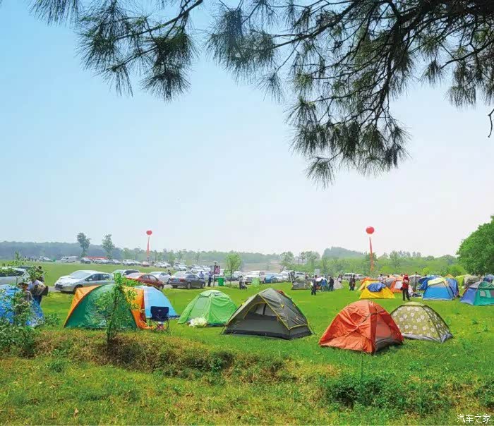 森林公园一日游和小虎来次原生态的大自然体验吧