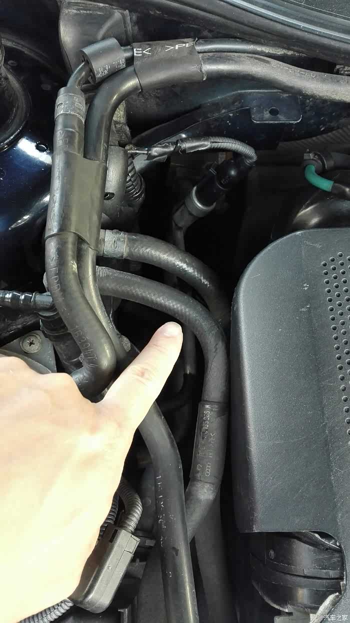 8l手动老宝,四兄,上图了,看鸡头.