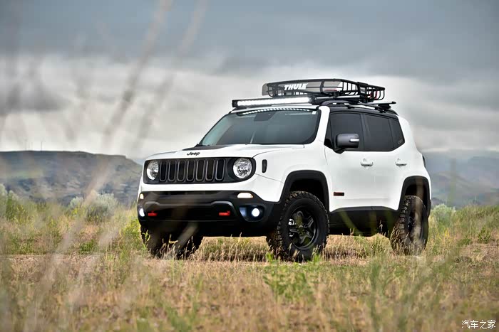 放几张国外自由侠th改装的照片,供大家参考研究吧.