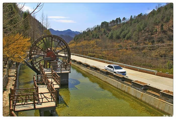 赏茱萸花海品佛坪地方特色流水席