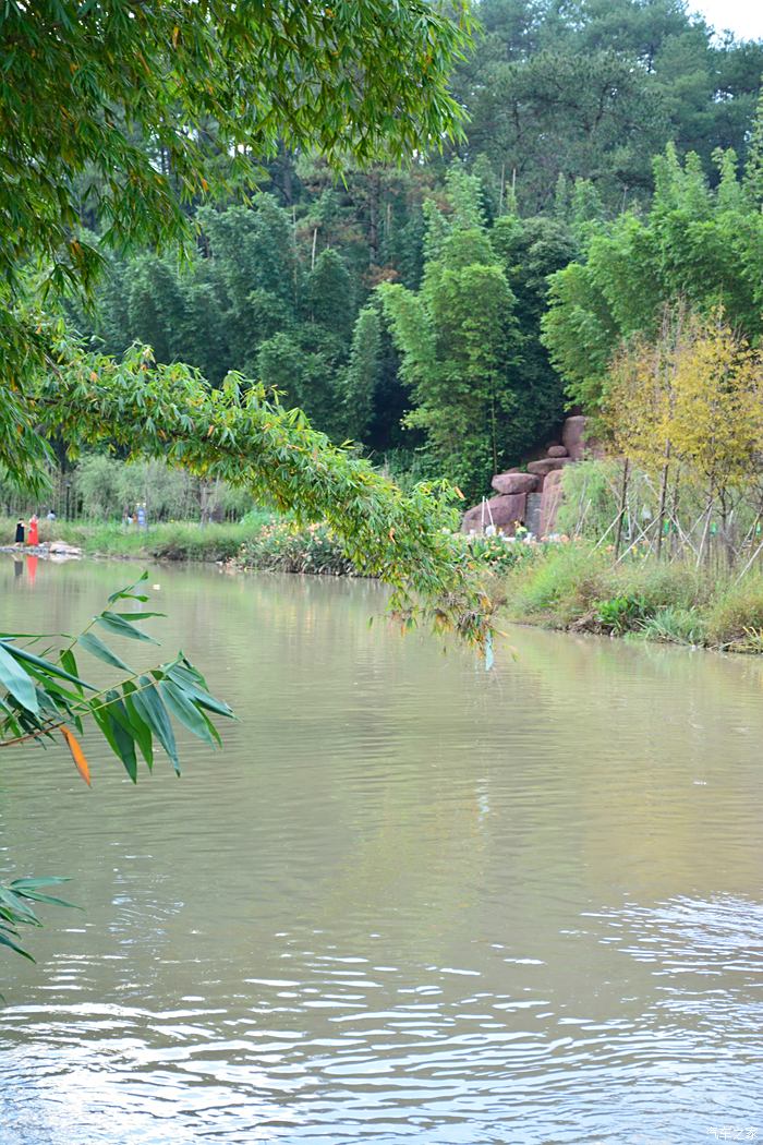 國慶遊福建沙縣溼地公園