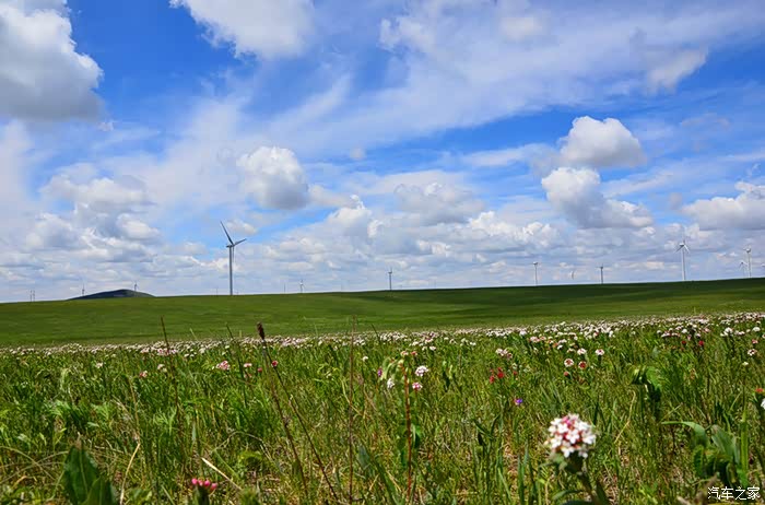 揭秘锡林大草原,膜拜内蒙腾格里