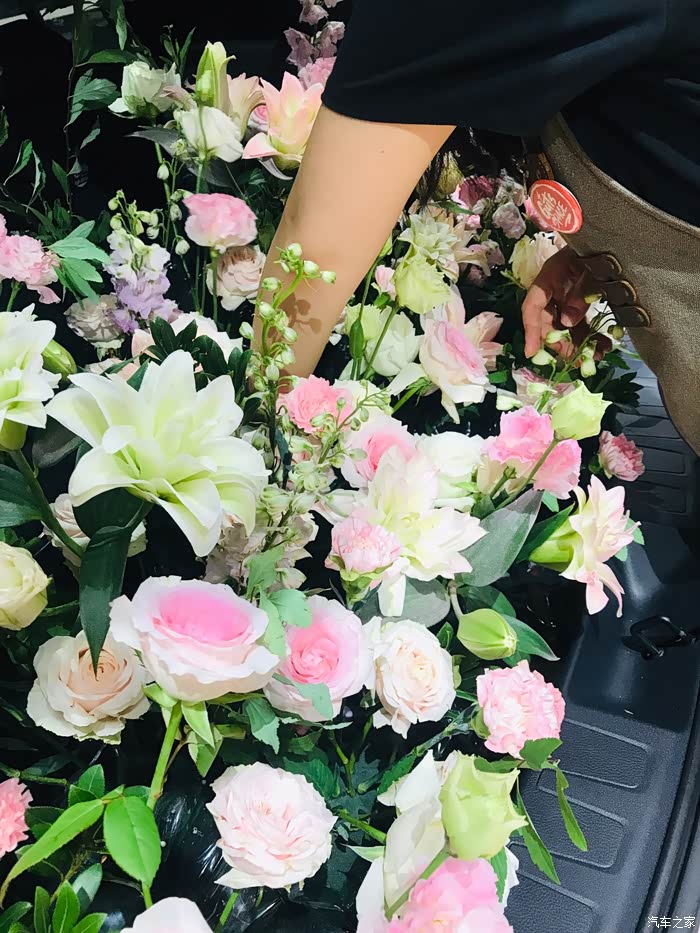你是我的一车花呀浪漫nx