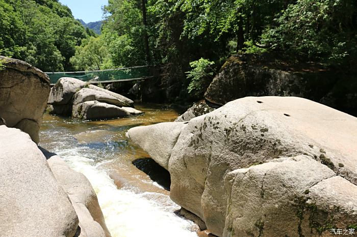 夏日的通天河森林公園