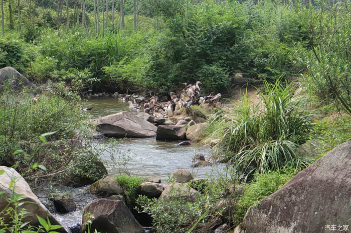 贵港青牛谷再次重游值得留恋的地方