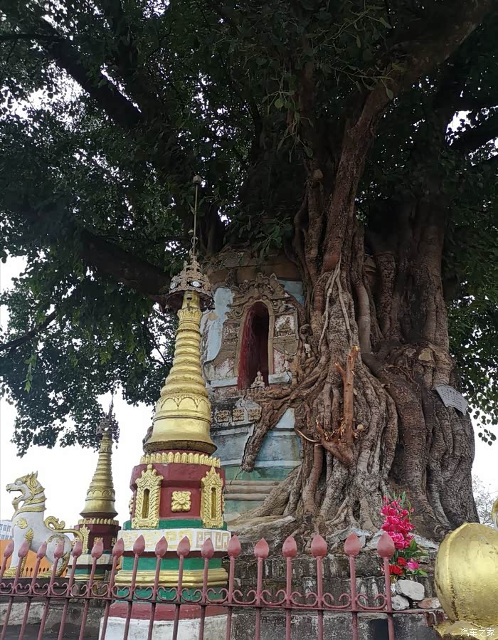 点亮你心中的光德宏树包塔