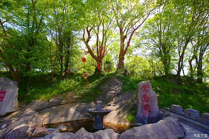 【迎暖春送積分】京山綠林風景區的美人谷