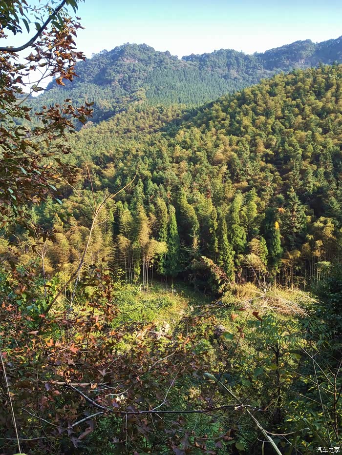 广西九万大山自然保护区的漫游