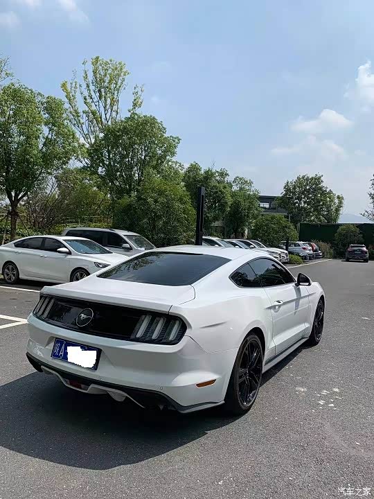 安徽合肥出中规白色野马已售