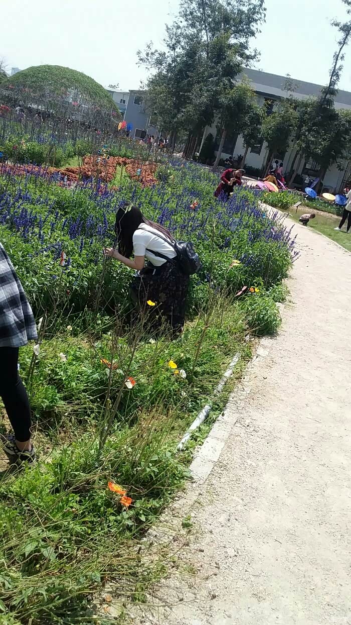 清明假期,外出踏青游记