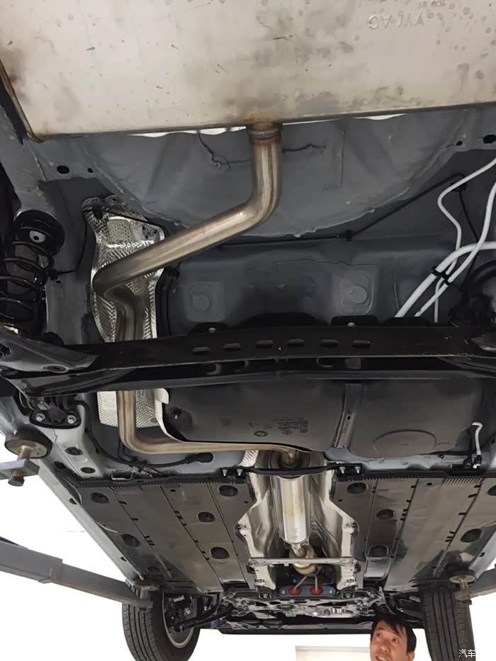 【图】和小狗的第一次见面_高尔夫论坛_汽车之家论坛