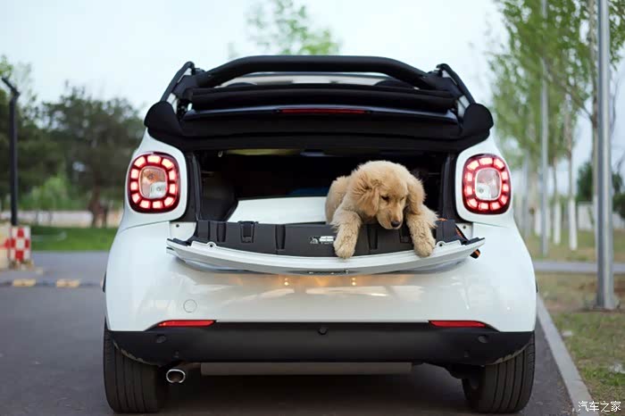 美女和狗狗当车模smartfor2for4全家福