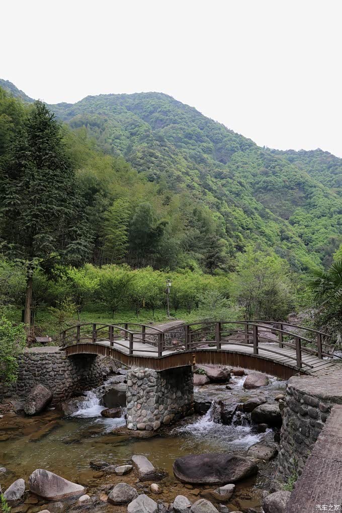 浙江静谧之旅梅树底景区之二