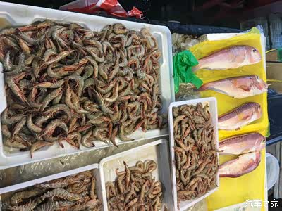 顺利参加浙江象山石浦三日暴走暴吃暴喝暴睡团归来,多图慎入!